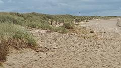 Sylt (180)